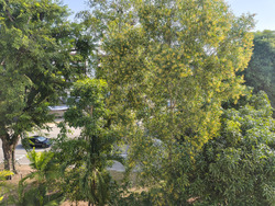 Eastwood Green (D16), Condominium #602885071